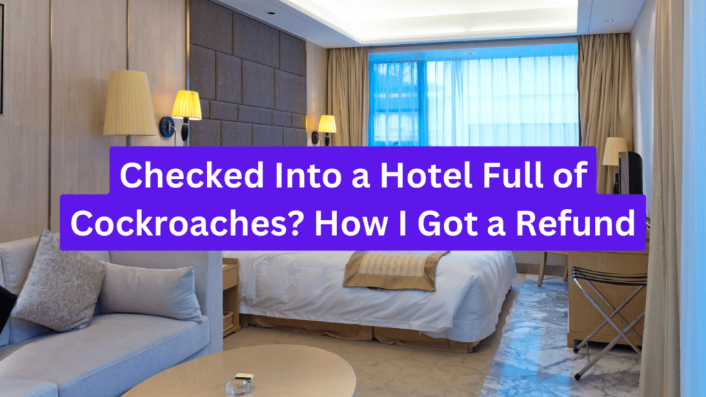 Checked Into a Hotel Full of Cockroaches? How I Got a Refund